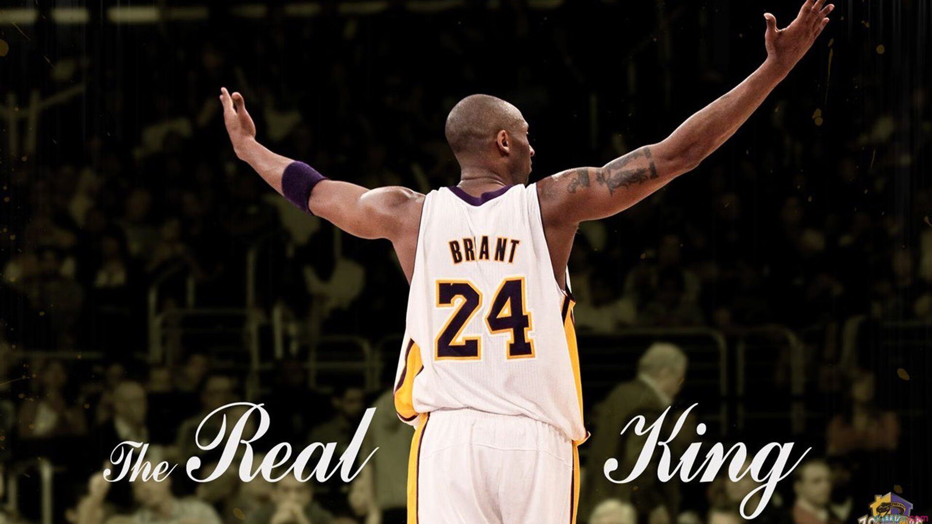 开云官网2026-塔图姆在焦点战证明自己，F1新赛季揭幕战之夜见证双星闪耀